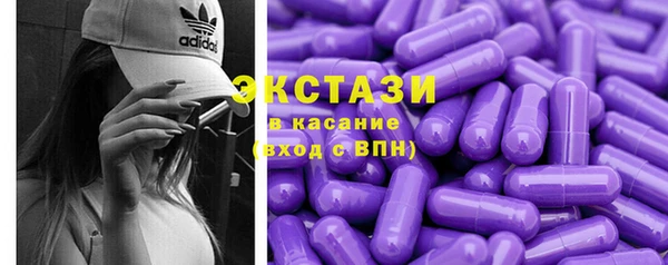 индика Горно-Алтайск