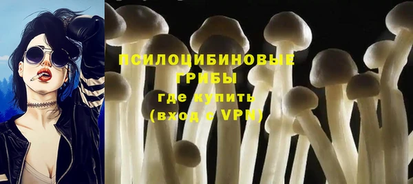 молекула духа Горнозаводск