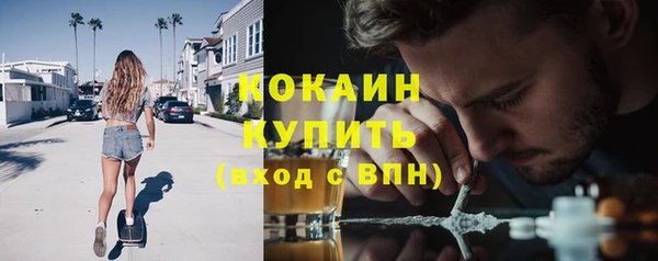 индика Горно-Алтайск