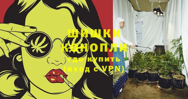 молекула духа Горнозаводск
