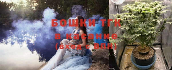 индика Горно-Алтайск