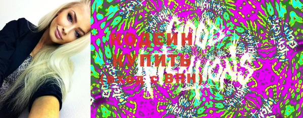 индика Горно-Алтайск