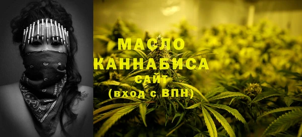 молекула духа Горнозаводск