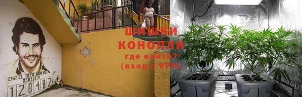 индика Горно-Алтайск